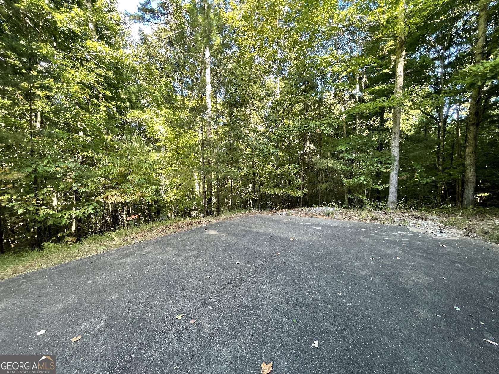 0.28 Acres of Residential Land for Sale in Big Canoe, Georgia