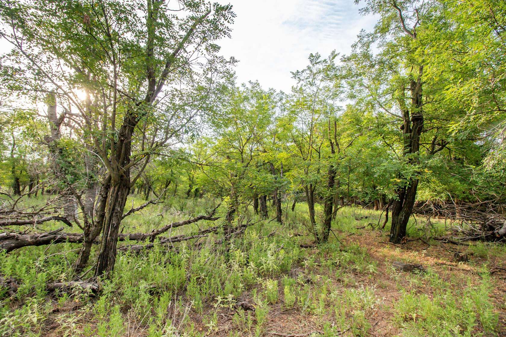 645.33 Acres of Land with Home for Sale in Mobeetie, Texas