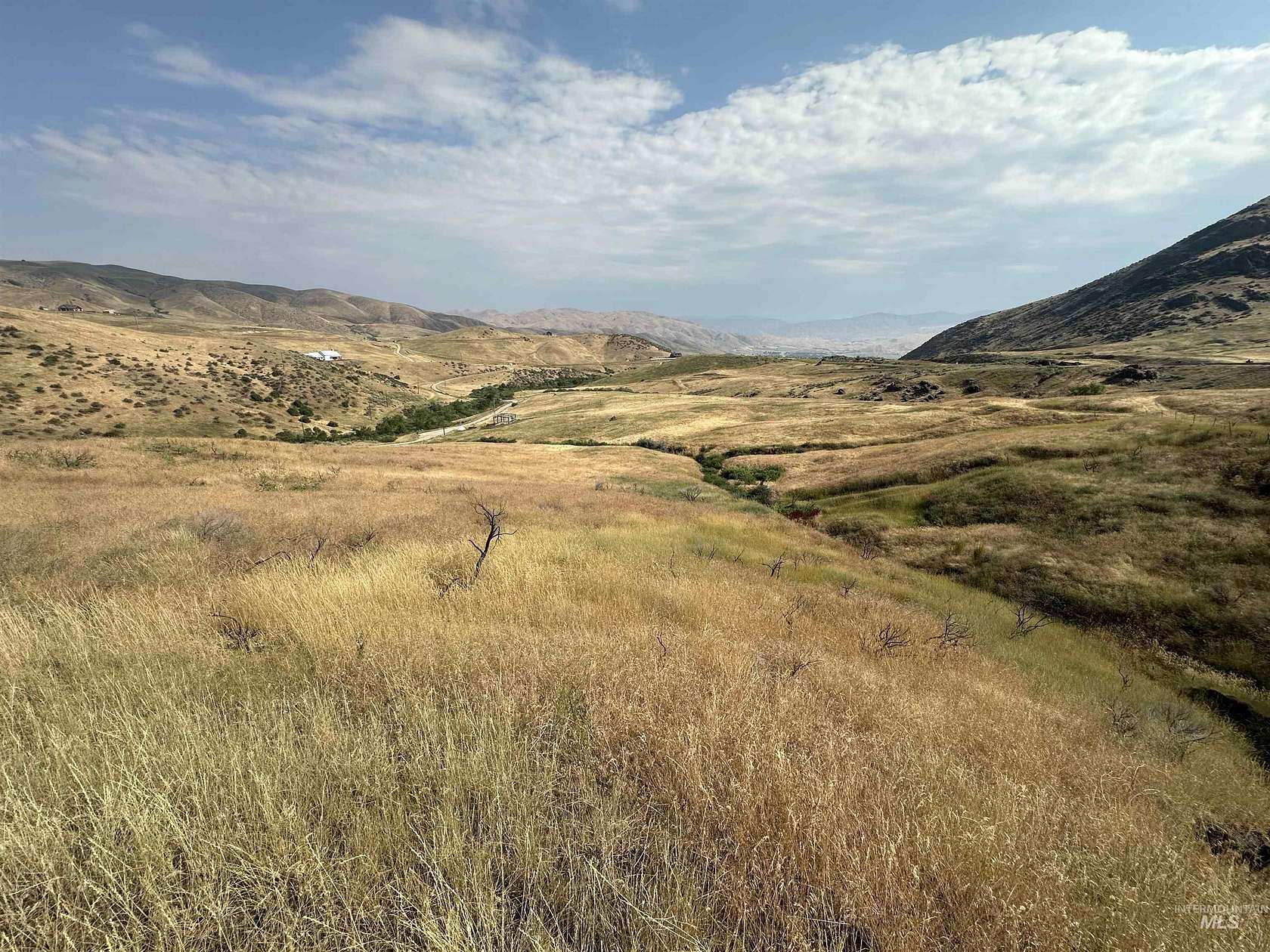 4 Acres of Residential Land for Sale in Horseshoe Bend, Idaho