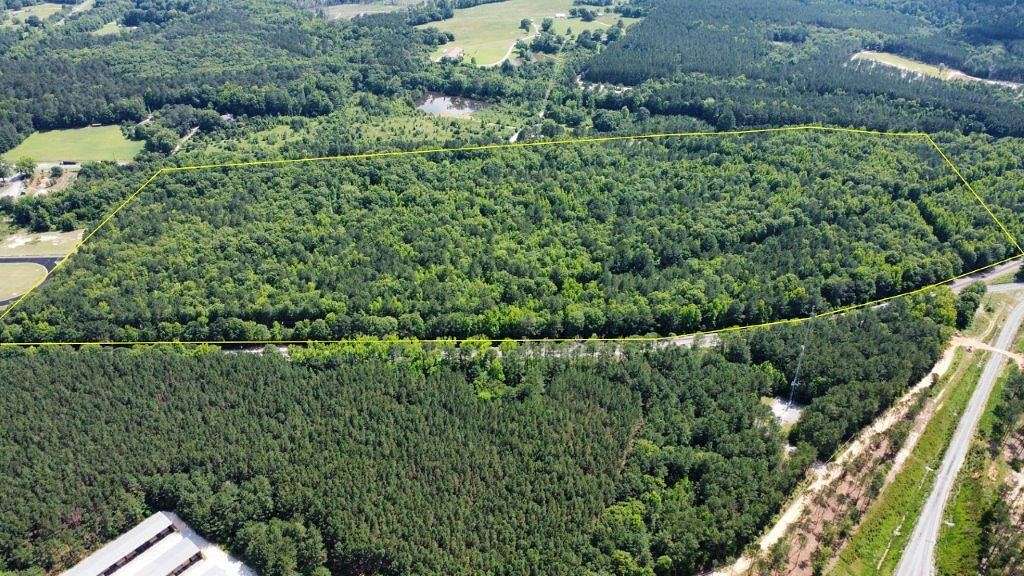 55 Acres of Recreational Land for Sale in Crawfordville, Georgia