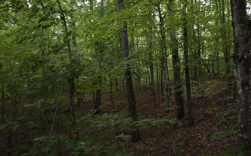 1.923 Acres of Residential Land for Sale in Murphy, North Carolina