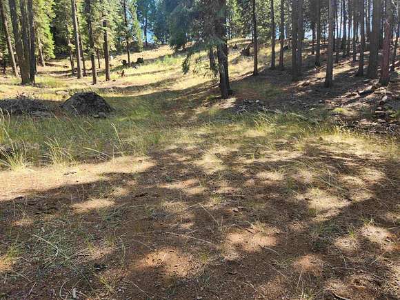 1.06 Acres of Residential Land for Sale in Lake Almanor West, California