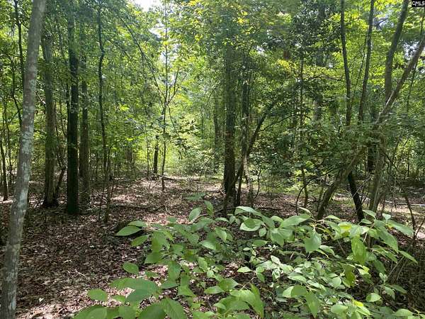 19 Acres of Land for Sale in Leesville, South Carolina