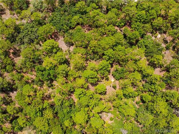 1.82 Acres of Residential Land for Sale in Weeki Wachee, Florida