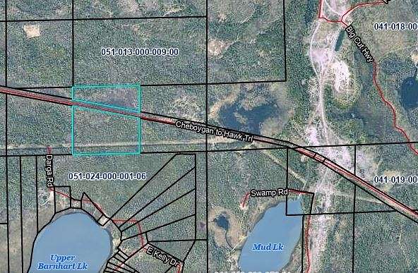 37 Acres of Recreational Land for Sale in Millersburg, Michigan