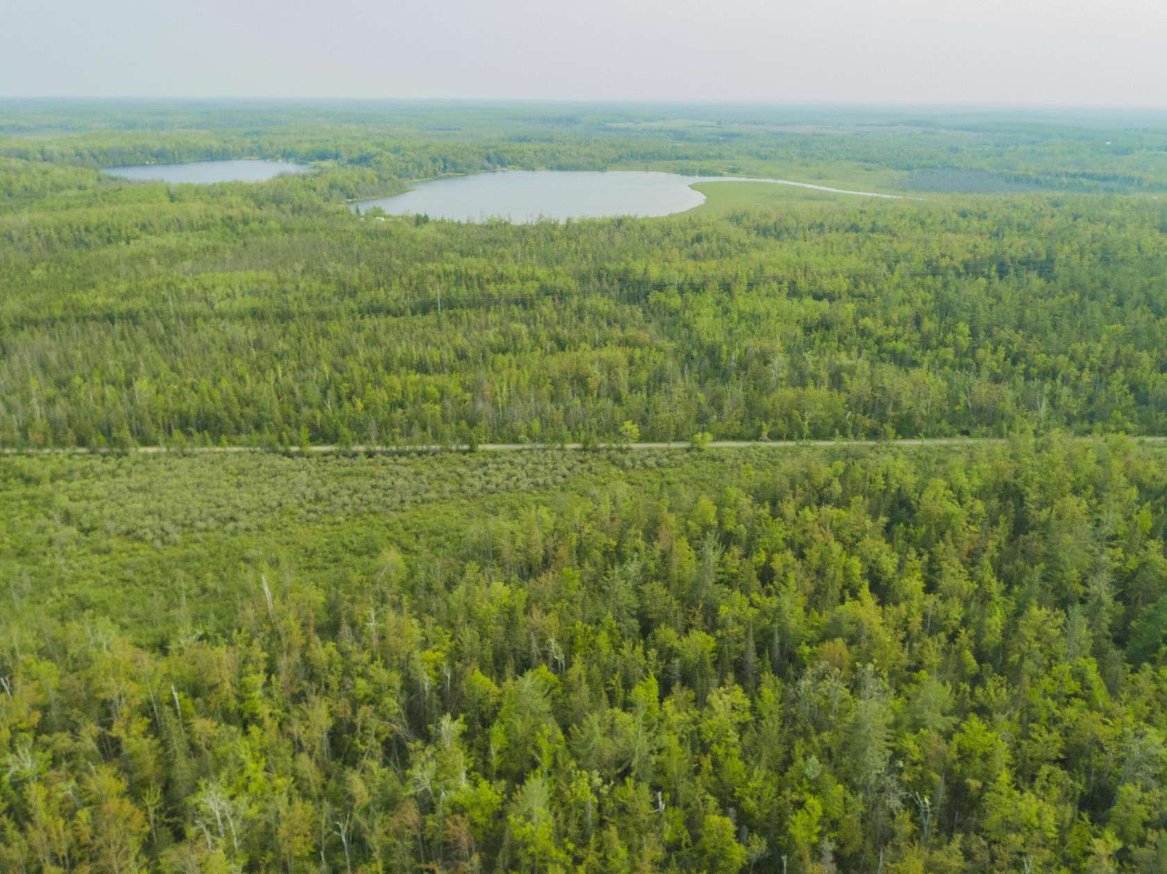 37 Acres of Recreational Land for Sale in Millersburg, Michigan