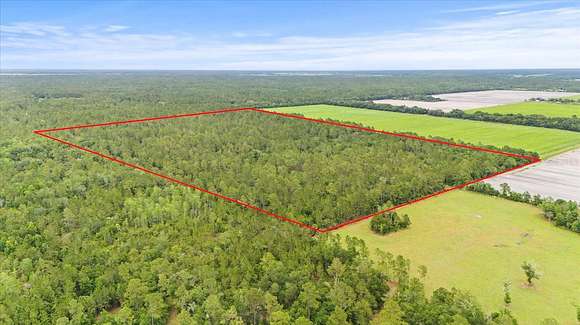 80 Acres of Recreational Land for Sale in Bunnell, Florida