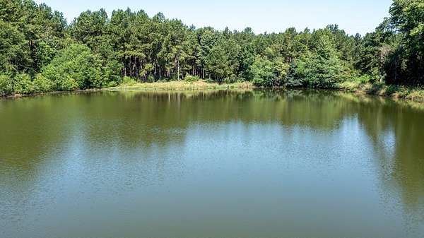 393 Acres of Recreational Land for Sale in Timpson, Texas