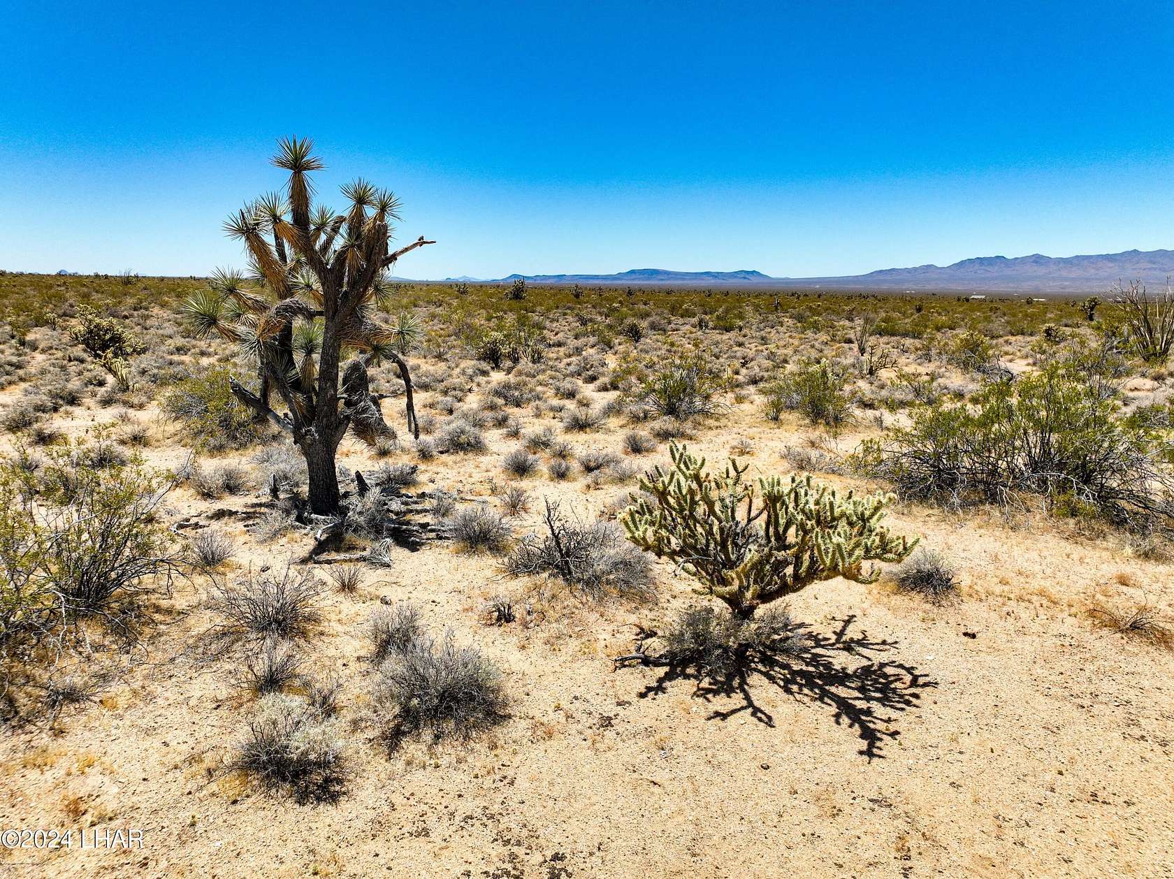 10.06 Acres of Recreational Land for Sale in Yucca, Arizona