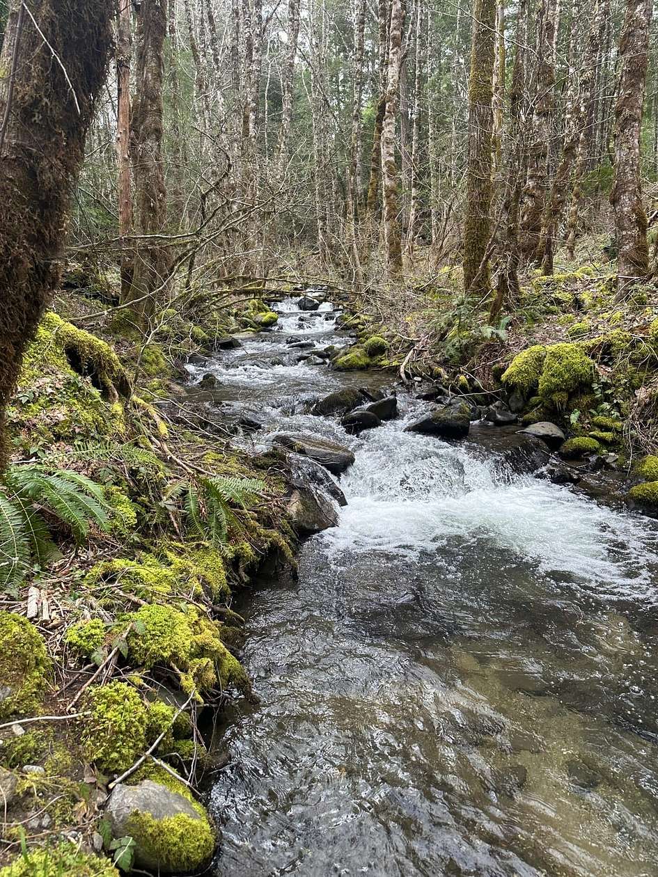 167 Acres of Recreational Land for Sale in Williams, Oregon