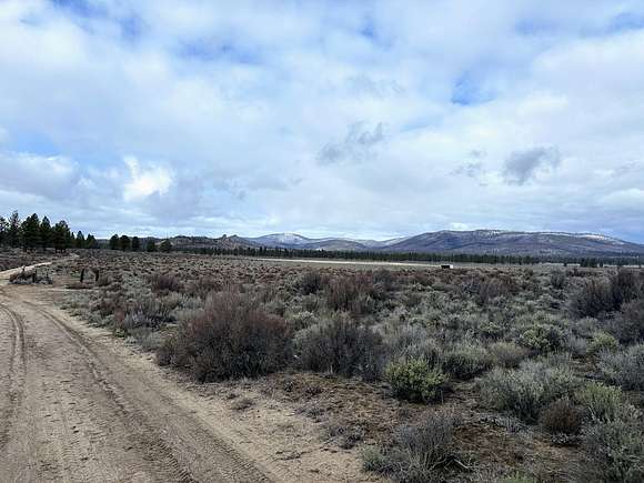 305.1 Acres of Agricultural Land for Sale in Beatty, Oregon