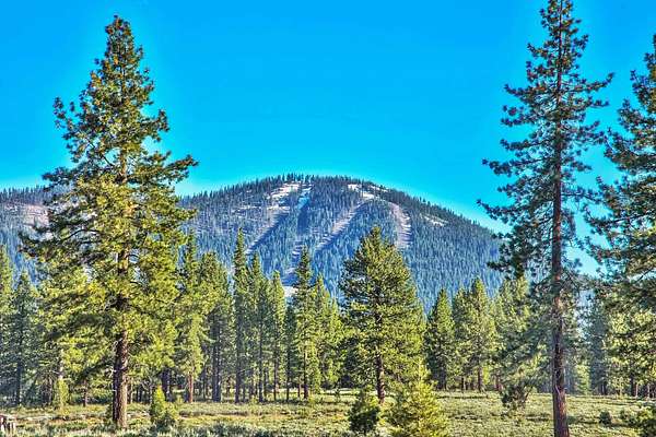1 Acre of Land for Sale in Truckee, California