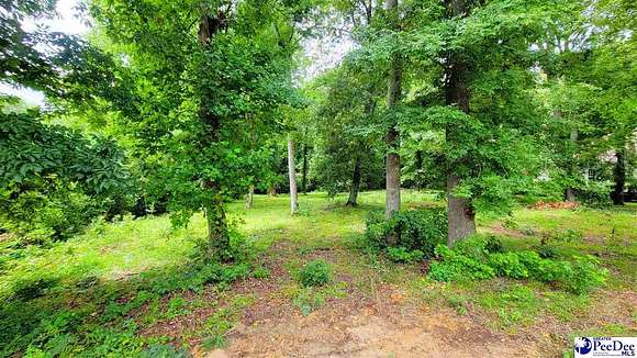 0.74 Acres of Residential Land for Sale in Darlington, South Carolina