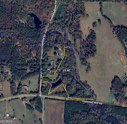 15 Acres of Agricultural Land for Sale in Shiloh, Georgia