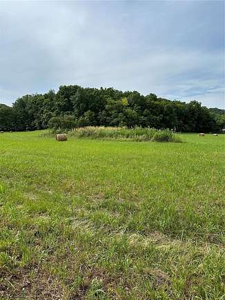 75.78 Acres of Land for Sale in Barnhart, Missouri