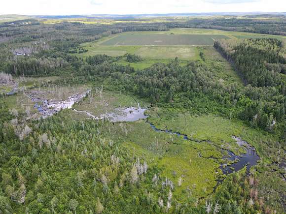 72.5 Acres of Recreational Land for Sale in Caribou, Maine