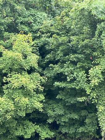 0.21 Acres of Land for Sale in Highland, Arkansas