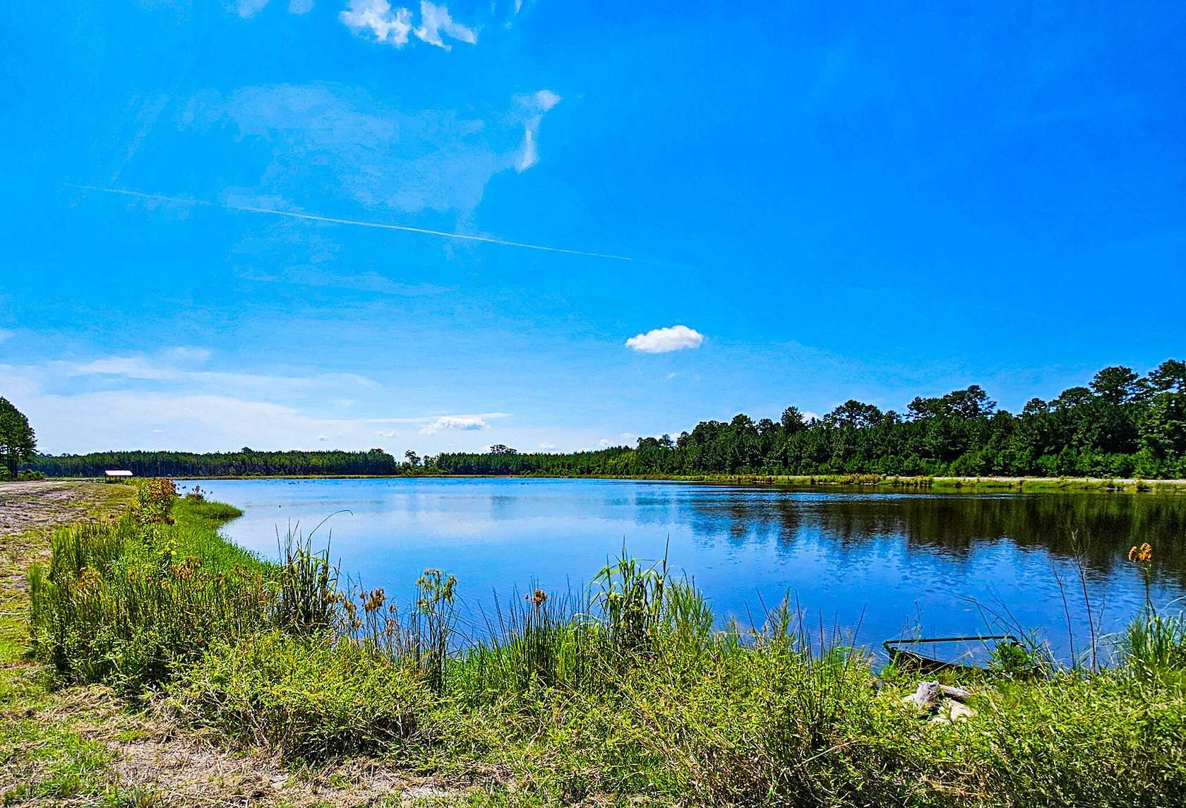 427 Acres of Recreational Land for Sale in Walterboro, South Carolina