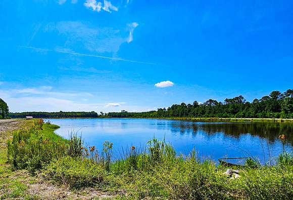 565 Acres of Recreational Land for Sale in Walterboro, South Carolina