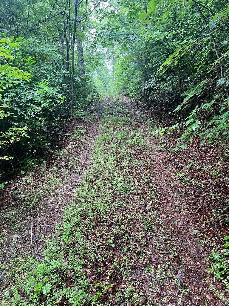 2.69 Acres of Land for Sale in Franklin, North Carolina