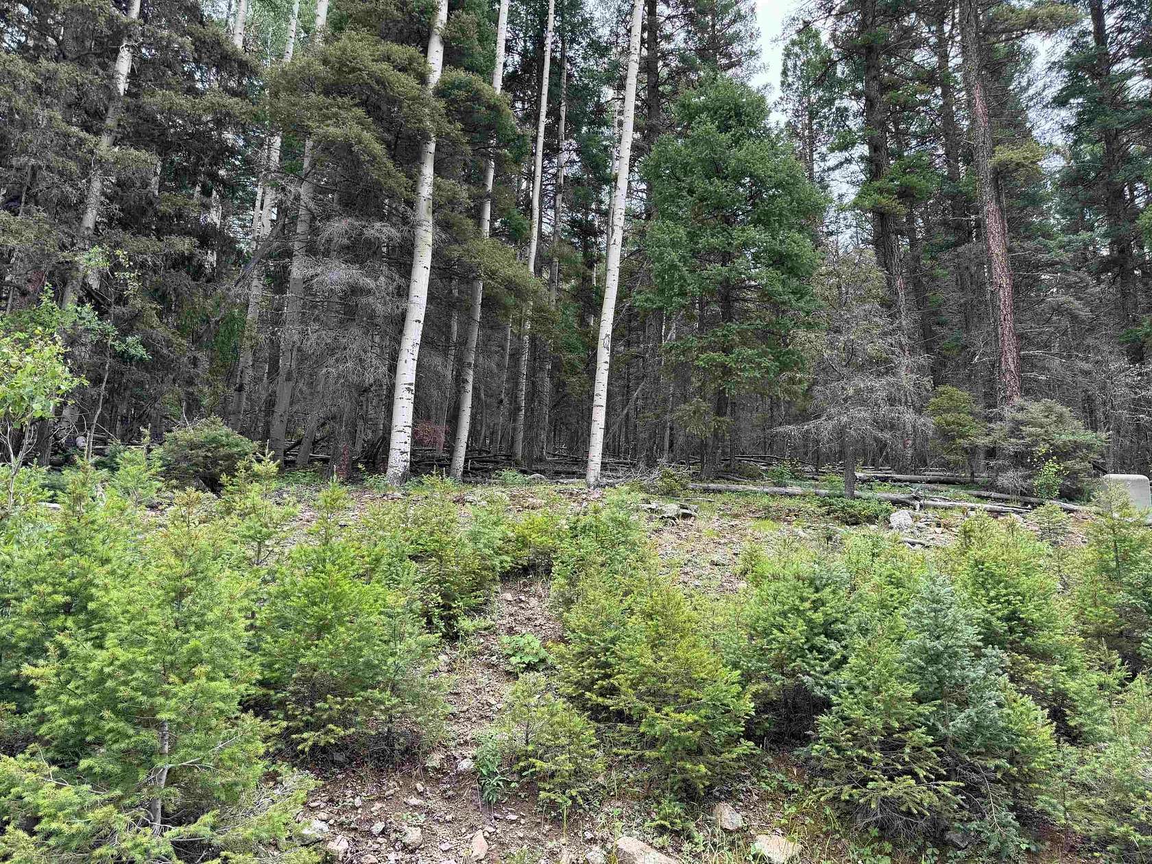 0.78 Acres of Residential Land for Sale in Angel Fire, New Mexico