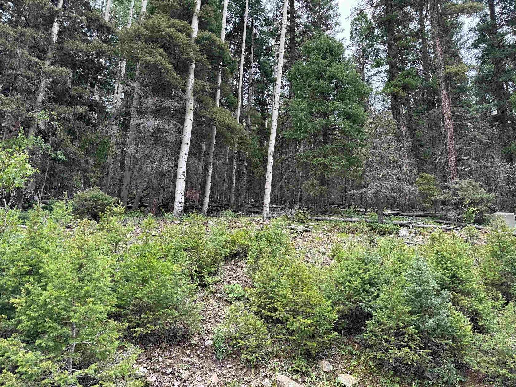 0.78 Acres of Land for Sale in Angel Fire, New Mexico