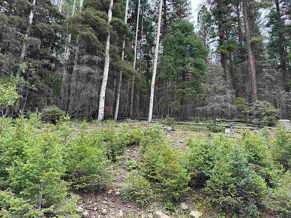 0.78 Acres of Residential Land for Sale in Angel Fire, New Mexico