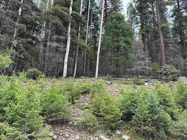 0.78 Acres of Land for Sale in Angel Fire, New Mexico