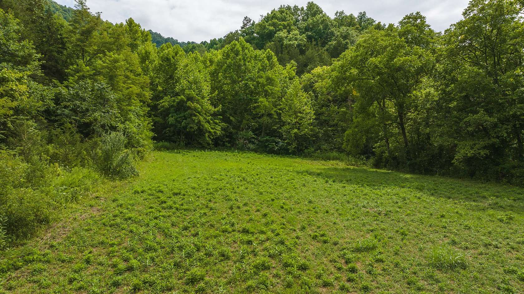 86 Acres of Recreational Land & Farm for Sale in Eidson, Tennessee