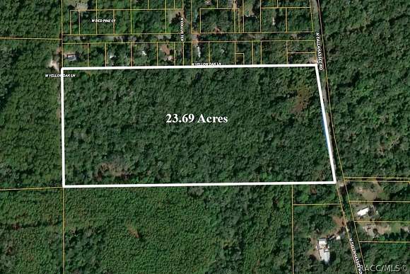 23.69 Acres of Recreational Land for Sale in Crystal River, Florida