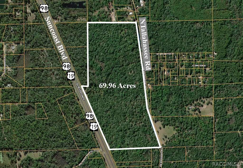 69.93 Acres of Land for Sale in Crystal River, Florida