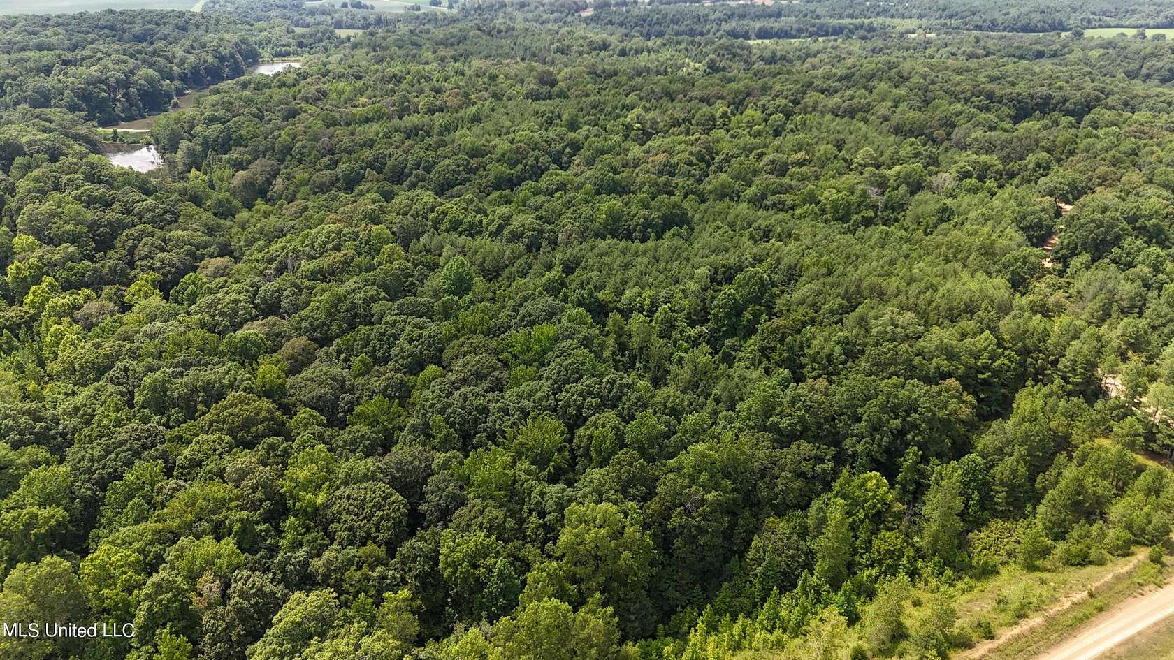 40 Acres of Recreational Land for Sale in Greenwood, Mississippi