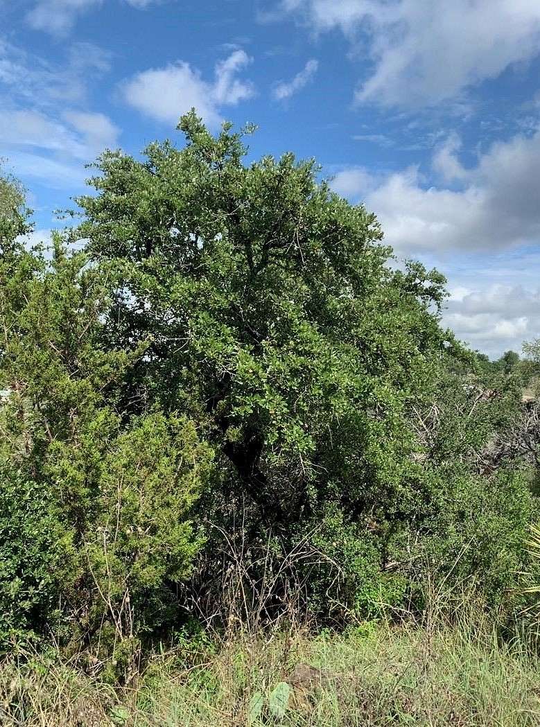 0.35 Acres of Land for Sale in Burnet, Texas