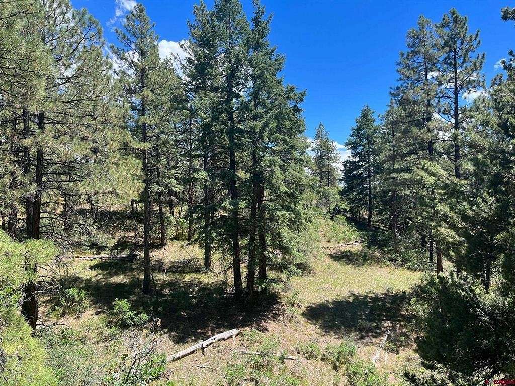 35 Acres of Land for Sale in Pagosa Springs, Colorado