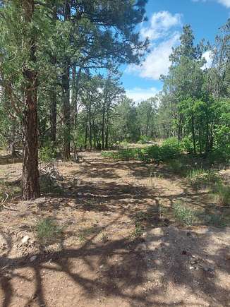 2.29 Acres of Land for Sale in Tijeras, New Mexico