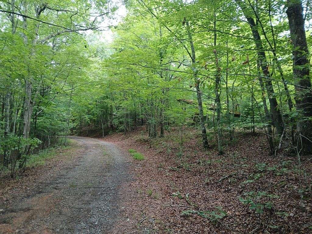 1.7 Acres of Land for Sale in Mineral Bluff, Georgia