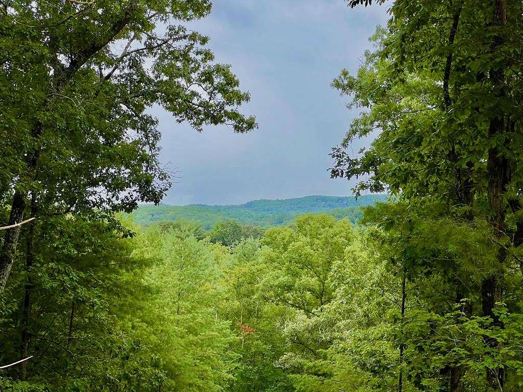 1.26 Acres of Residential Land for Sale in Morganton, Georgia