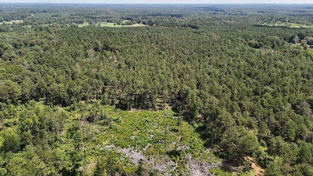 81.6 Acres of Recreational Land for Sale in Brookhaven, Mississippi