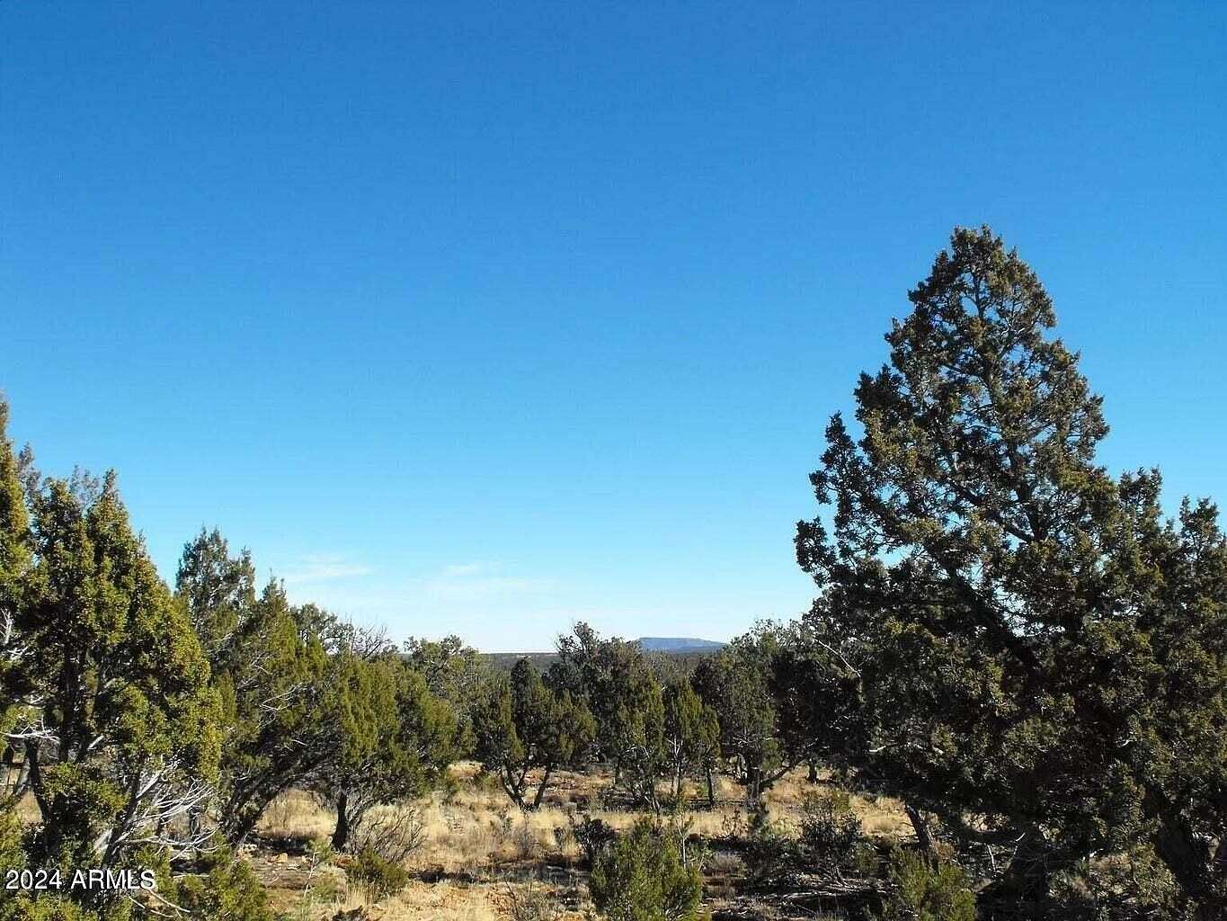 5 Acres of Residential Land for Sale in Happy Jack, Arizona