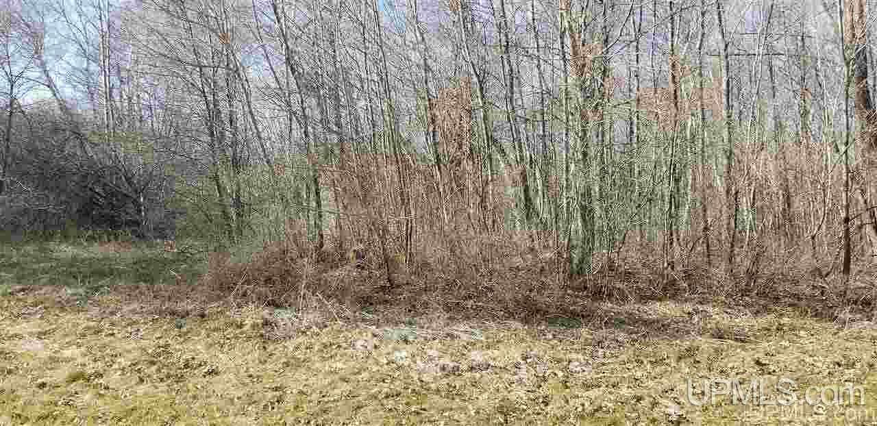 1.08 Acres of Residential Land for Sale in Ontonagon, Michigan