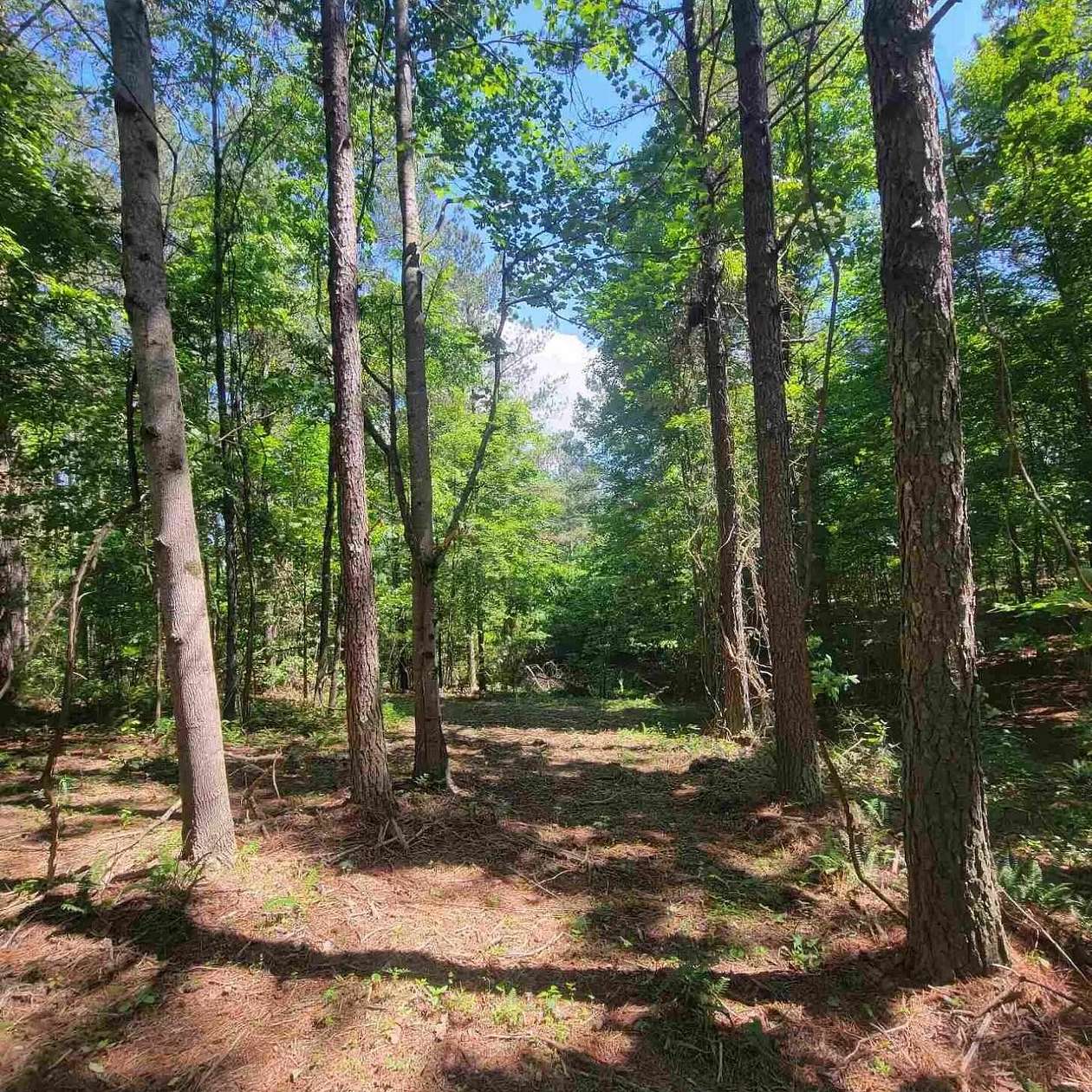 1.15 Acres of Land for Sale in Haletown, Tennessee