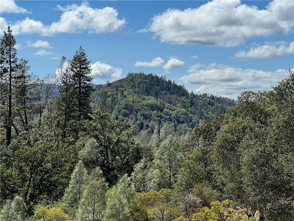 16.47 Acres of Land with Home for Sale in Loch Lomond, California