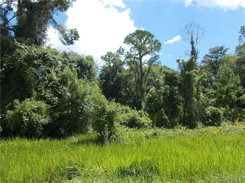 0.34 Acres of Residential Land for Sale in Citrus Springs, Florida