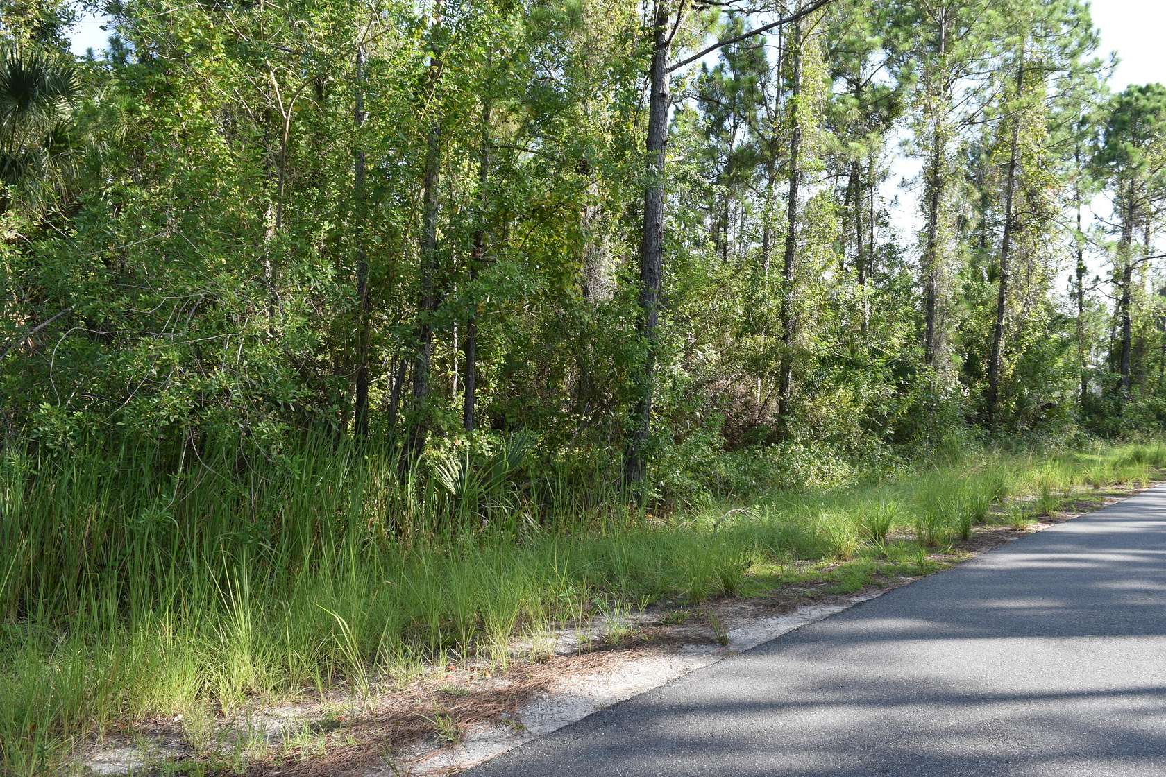 0.46 Acres of Land for Sale in Palm Bay, Florida