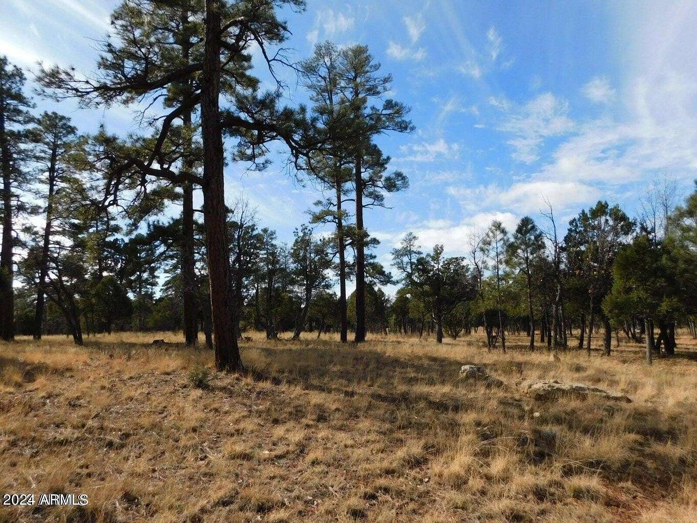 0.73 Acres of Residential Land for Sale in Happy Jack, Arizona