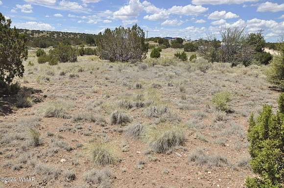 1.05 Acres of Commercial Land for Sale in Concho, Arizona