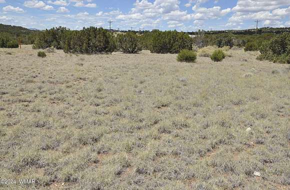 1.05 Acres of Mixed-Use Land for Sale in Concho, Arizona