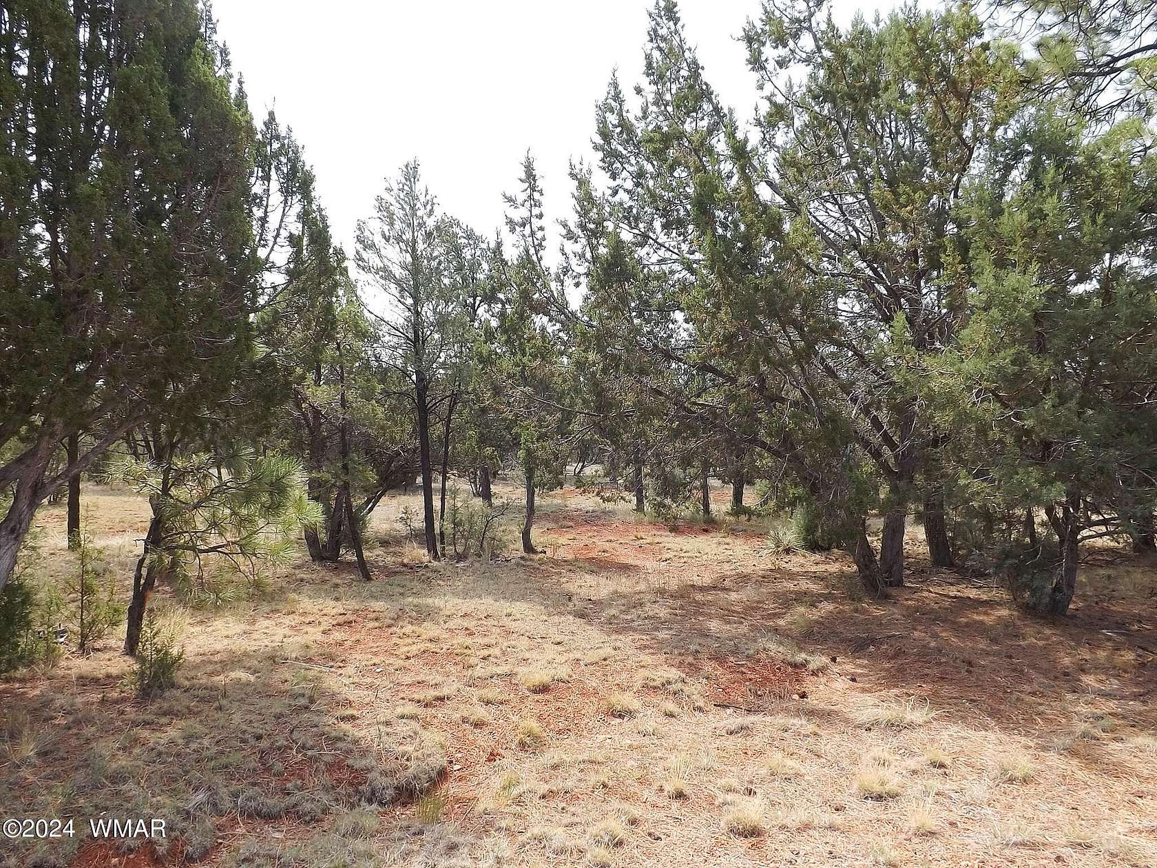 0.89 Acres of Residential Land for Sale in Overgaard, Arizona