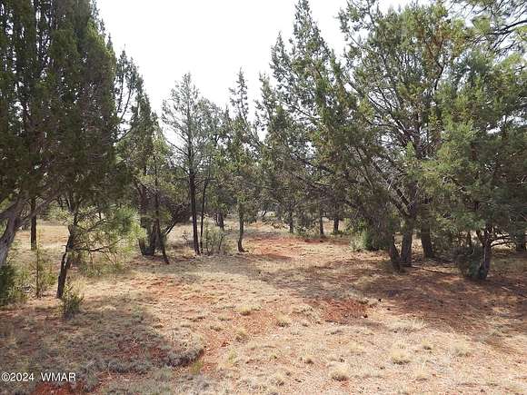 0.89 Acres of Residential Land for Sale in Overgaard, Arizona