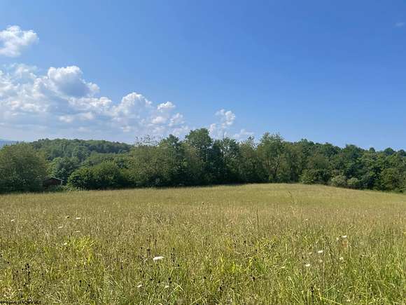 171 Acres of Land for Sale in Philippi, West Virginia